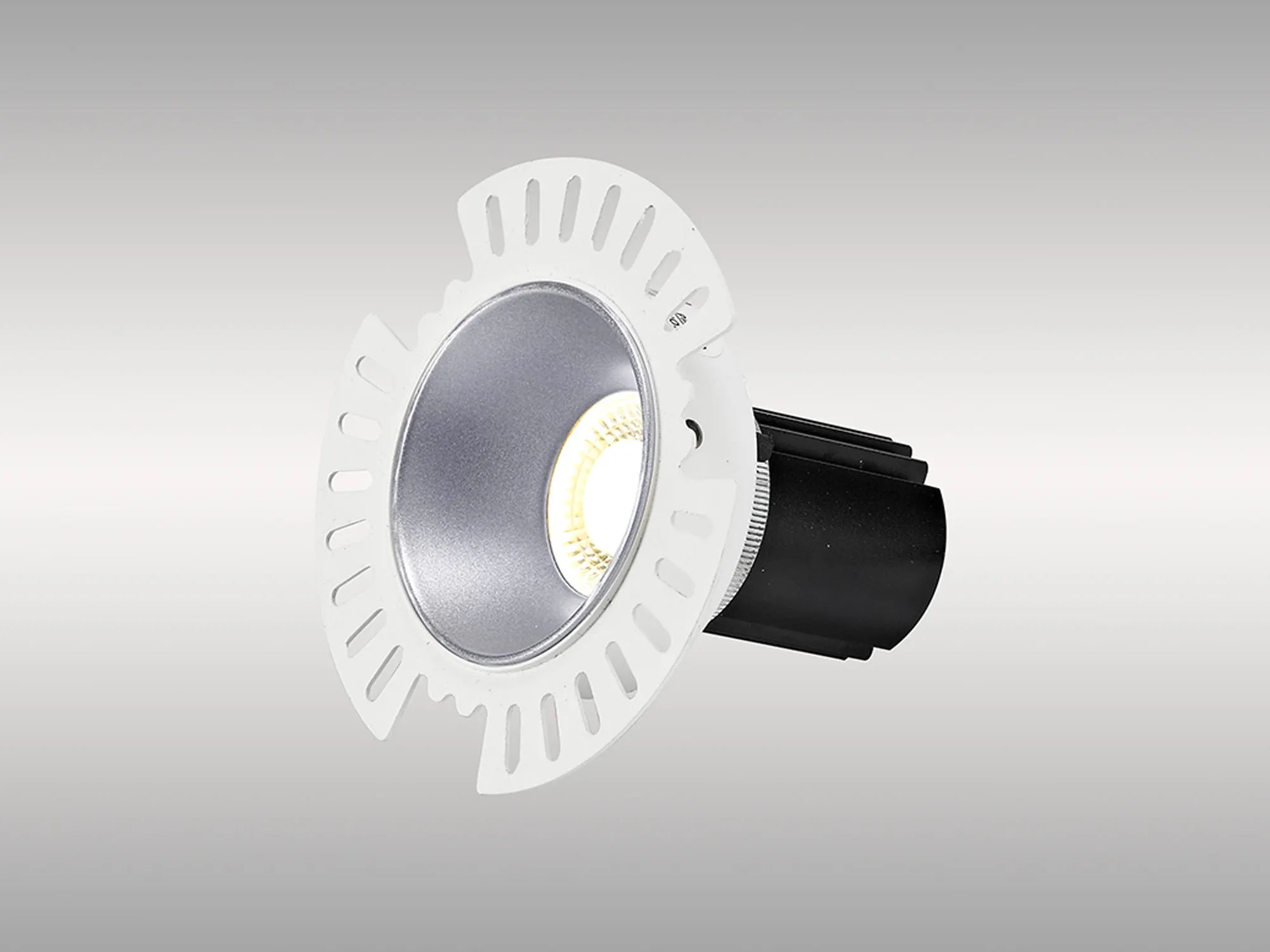 DM201821  Basy 12 Tridonic Powered 12W 2700K 1200lm 24° CRI>90 LED Engine Silver Fixed Recessed Spotlight, IP20